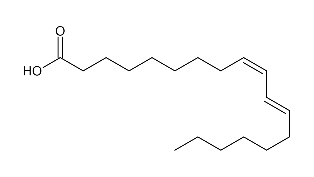 The Benefits of Conjugated Linoleic Acid (CLA) to the Body